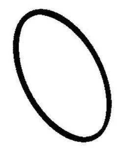 Уплотнительное кольцо (O RING) 832062