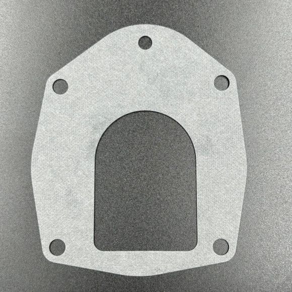 Прокладка (GASKET) 430331