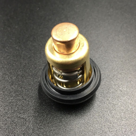 Термостат Yamaha 55 6F5-12411-02/6F5-12411-03
