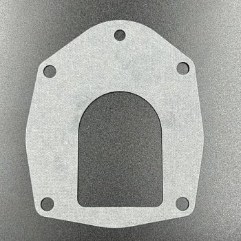 Прокладка (GASKET) 430331