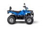 КВАДРОЦИКЛ IRBIS ATV200