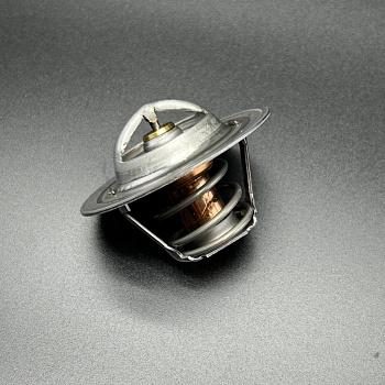 Термостат (THERMOSTAT-160) 8M0091470/8M0109441