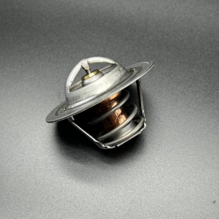 Термостат (THERMOSTAT-160) 8M0091470/8M0109441