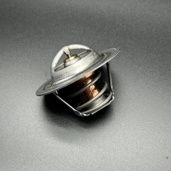 Термостат (THERMOSTAT-160) 8M0091470/8M0109441