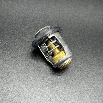 Термостат (THERMOSTAT) 825212T02