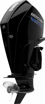 Мотор лодочный подвесной МЕ F 250 CMS SP
