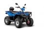 КВАДРОЦИКЛ IRBIS ATV 250